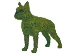 Boston Terrier Topiary