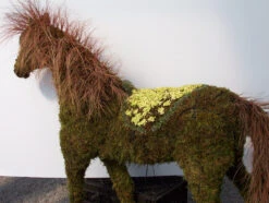 Horse Topiary -Garden Decoration Store 0f9a6c20 7097 4e1c 9821 9e99cfb3f916 HORSE 01400.1676036640