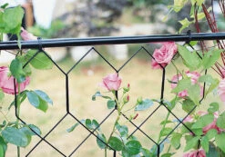 Lattice Infill Kit -Garden Decoration Store 1440 infill 16902.1680375591