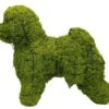 Bichon Frise Topiary