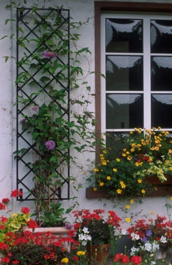 19" Wall Trellis (2 Pack) -Garden Decoration Store 19 Wall 37063.1678752167