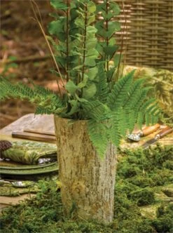 Cement Vase With Bark Finish