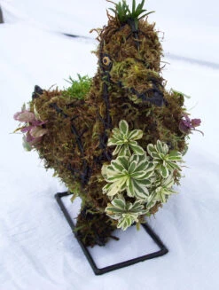 Duck Topiary -Garden Decoration Store 3313a1ad 955c 4001 8525 c3f59d662ad7 DUCK 52768.1676036640