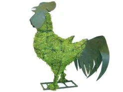 Rooster Topiary