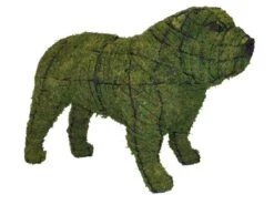 Bulldog Topiary -Garden Decoration Store 5ee11473 9a44 4f02 8c1b 243bd40a0479 BULLDOG 89316.1676036633