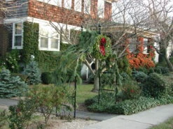 Gothic Garden Arch 12 Gothic Garden Arch -Garden Decoration Store 6 GothicLS 54193.1704032154