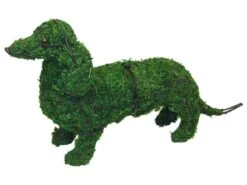 Dachshund Topiary