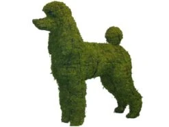 Poodle Topiary -Garden Decoration Store 6fce4b7a eda2 43dc 8a24 869bab748810 POODLE 34931.1676036625