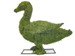 Duck Topiary