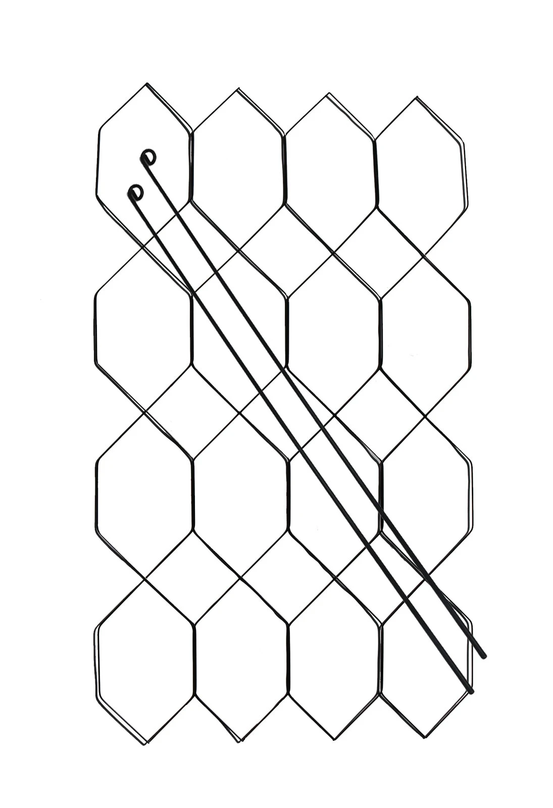 Vegetable Trellis 2 Vegetable Trellis - Image 2