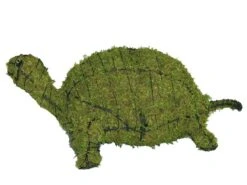 Turtle Topiary 5 Turtle Topiary -Garden Decoration Store 9729fe54 9d4d 4e80 b8eb ea03dbedb7e5 TURTLE 70581.1676036642
