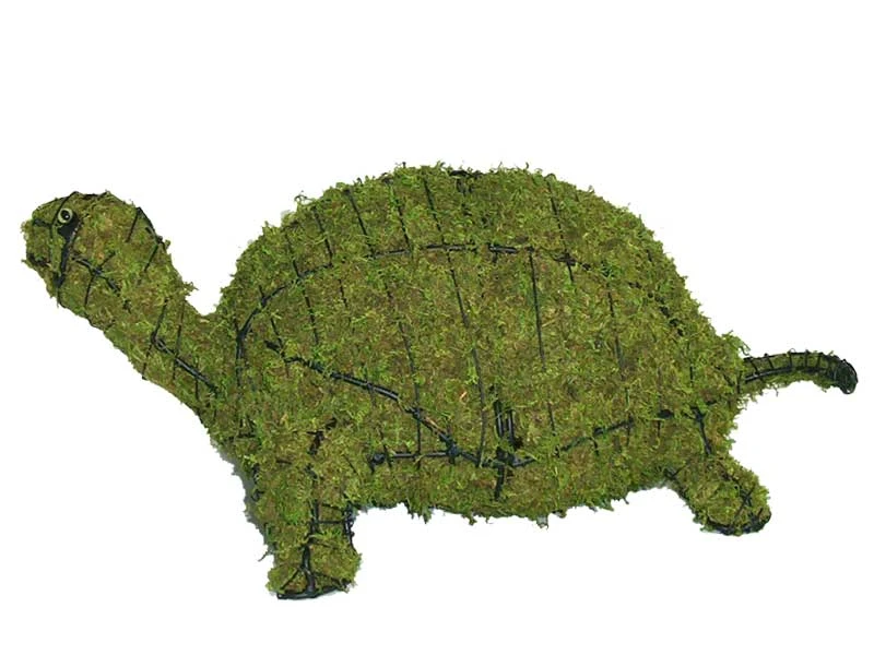 Turtle Topiary 3 Turtle Topiary - Image 3