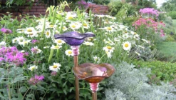 Blown Glass Butterfly Feeder -Garden Decoration Store AHBF11 PP CO 47857.1699638754