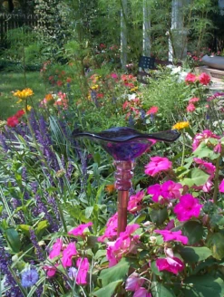 Blown Glass Butterfly Feeder -Garden Decoration Store AHBF4 PP 38219.1699638754