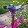 Blown Glass Butterfly Feeder