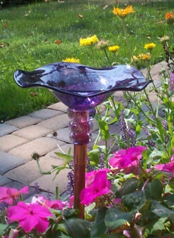 Blown Glass Butterfly Feeder