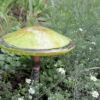 Blown Glass Mushroom Stake