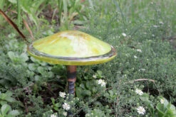 Blown Glass Mushroom Stake