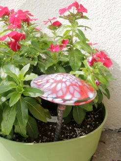 Blown Glass Mushroom Stake -Garden Decoration Store AHMS RW1 1600 77746.1676036672