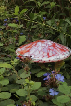 Blown Glass Mushroom Stake -Garden Decoration Store AHMS RW4 1600 47485.1678810450