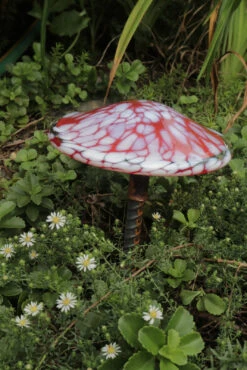 Blown Glass Mushroom Stake -Garden Decoration Store AHMS RW9 1600 53284.1676036672