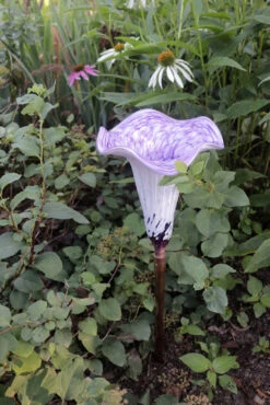 Blown Glass Water Tulip -Garden Decoration Store AHWT WP2 1600 20373.1678810845