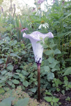 Blown Glass Water Tulip -Garden Decoration Store AHWT WP3 1600 75088.1676036668