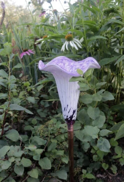 Blown Glass Water Tulip -Garden Decoration Store AHWT WP4 1600 27843.1676036668