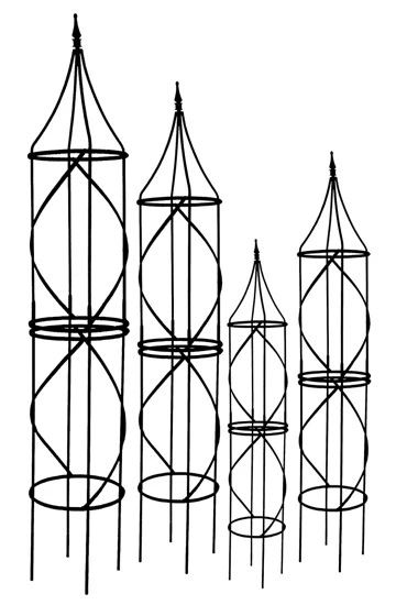 Border Tuteur 1 Border Tuteur