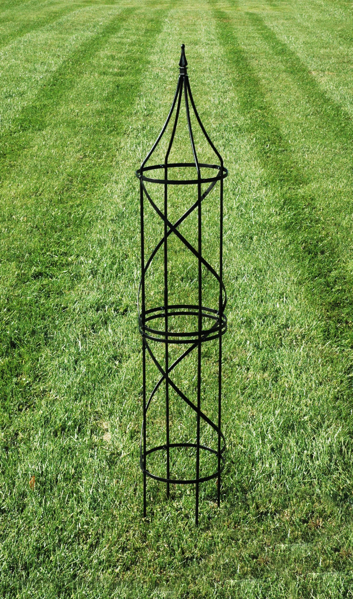 Border Tuteur 2 Border Tuteur - Image 2