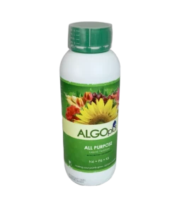 AlgoPlus Liquid Fertilizer -Garden Decoration Store All Purpose clear2 27342.1676036728