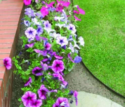 EverEdge Landscape Edging - Brown - 1.6mm -Garden Decoration Store Allman003CMY 73998.1705093731