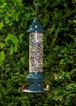 Squirrel Buster Plus 7 Squirrel Buster Plus -Garden Decoration Store B 1024a 88817.1677364774