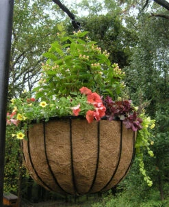 Bellus Hanging Basket -Garden Decoration Store BS22 1 Copy 46500.1680724128