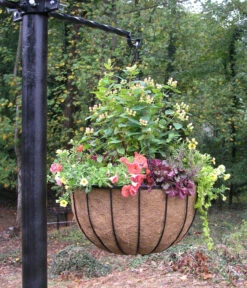 Bellus Hanging Basket -Garden Decoration Store BS22 planted Copy 22629.1680724128