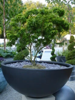 Bowl Planter -Garden Decoration Store Bowl 40094.1676124940