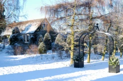 Brighton Arch + Planter | Bench | Gate | Fence Options 8 Brighton Arch + Planter | Bench | Gate | Fence Options -Garden Decoration Store Brighton planters3 44419.1686691219