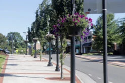 18.5" Self-Watering Hanging Basket -Garden Decoration Store CHB 1P VT13 1600 51538.1677959425