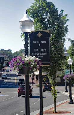 18.5" Self-Watering Hanging Basket -Garden Decoration Store CHB 1P VT14 1600 31073.1677959425