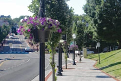 18.5" Self-Watering Hanging Basket -Garden Decoration Store CHB 1P VT15 1600 50886.1677959426