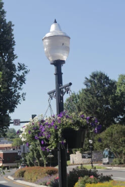 18.5" Self-Watering Hanging Basket -Garden Decoration Store CHB 1P VT3 1600 80819.1677959425