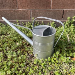 Long Reach Watering Can - 1.6 Qt Capacity
