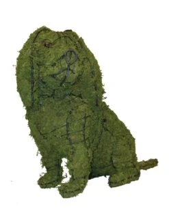 Cavalier Sitting Dog Topiary -Garden Decoration Store Cavalier Mossed 39322.1687804340
