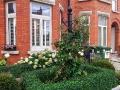 Charleston Rose Pillar 12 Charleston Rose Pillar -Garden Decoration Store Charleston8 59221.1709321484