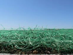 Curlex I -Garden Decoration Store Close up Curlex QG 95824.1683396980