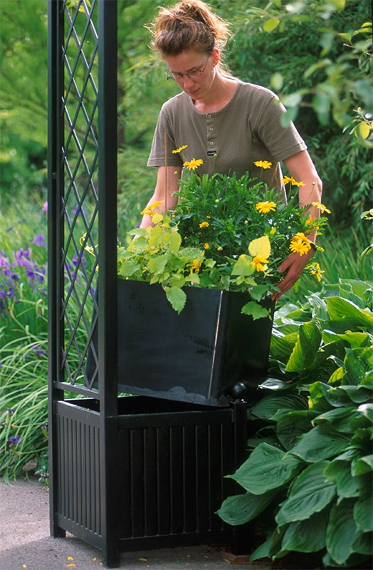 Versailles Planter 5 Versailles Planter - Image 5