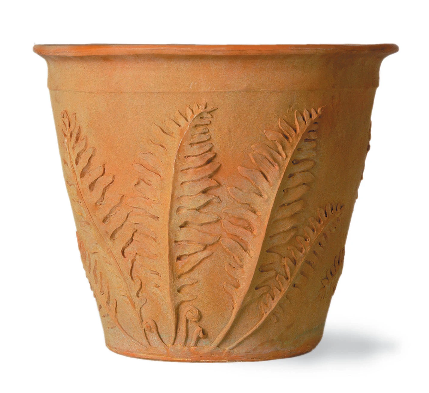 Fern Planter Pot 1 Fern Planter Pot