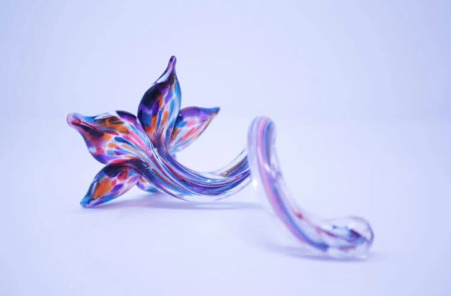 Glass Flowers - Image 2