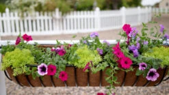 Garden Decoration Store -Garden Decoration Store GG44 planted1600 81639.1707151998