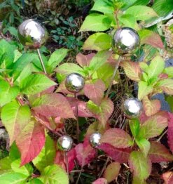 Lollipops - Set Of 6 Stainless Steel Decorative Garden Stakes -Garden Decoration Store GardenLollipops outside 33488.1697489361